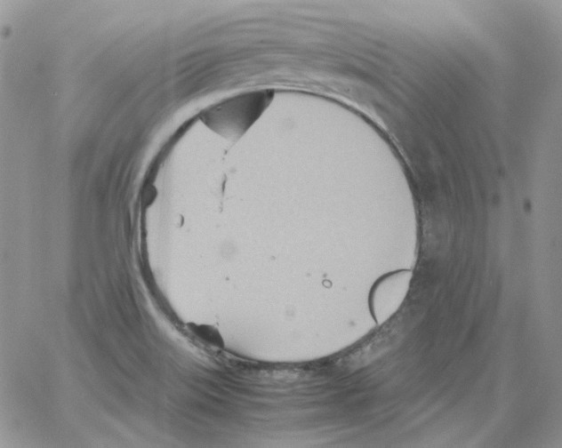 X0000064041515200602242308