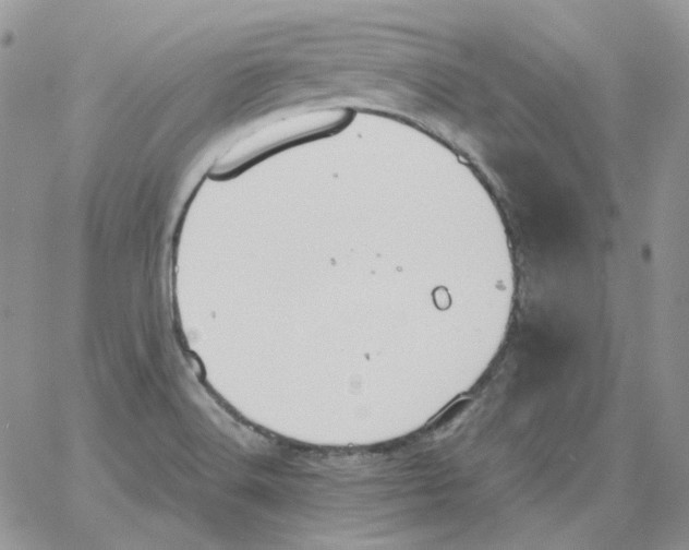 X0000064041516200602242308