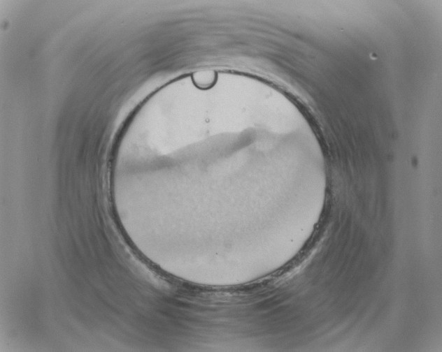 X0000064041517200602242308