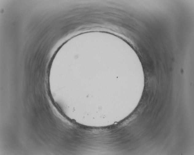 X0000064041518200602242308