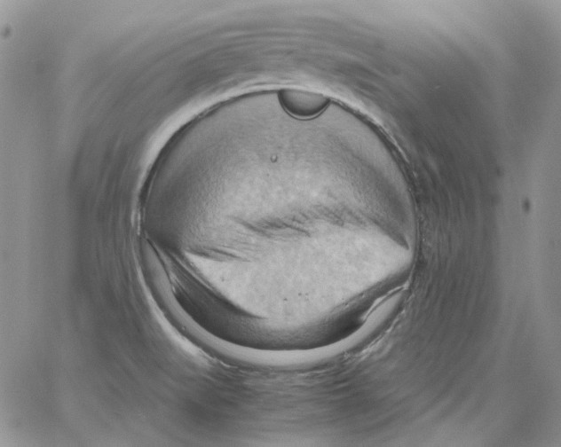 X0000064041519200602242308