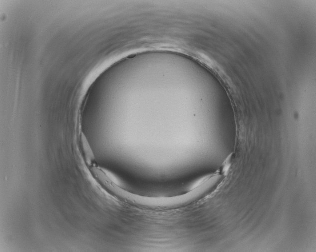 X0000064041520200602242308