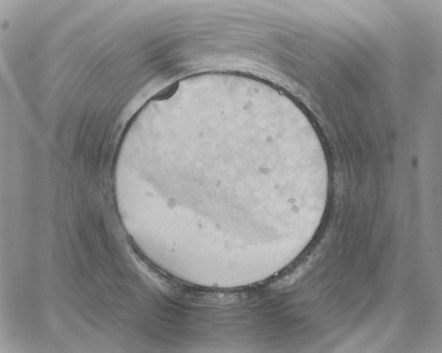 X0000064041521200602242308