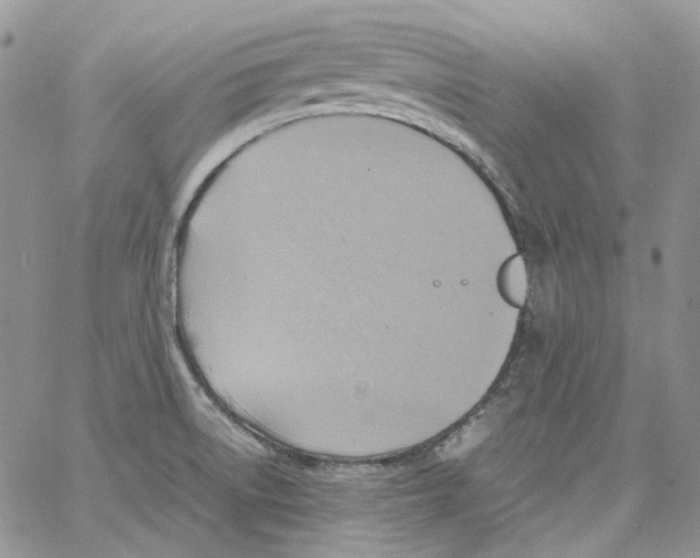 X0000064041522200602242308