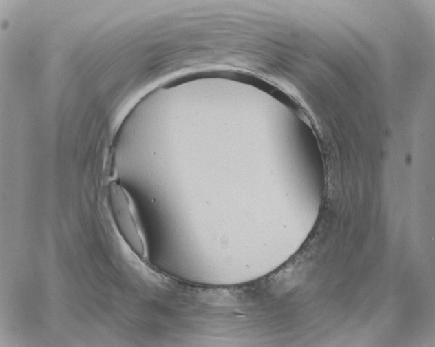 X0000064041524200602242308