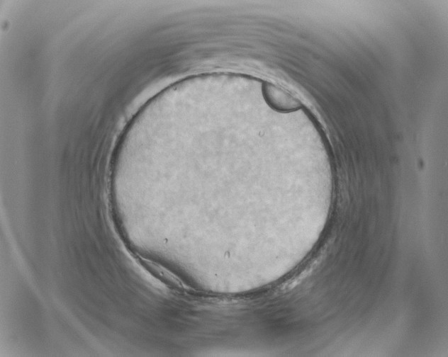 X0000064041525200602242308