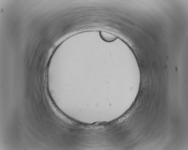 X0000064041526200602242308