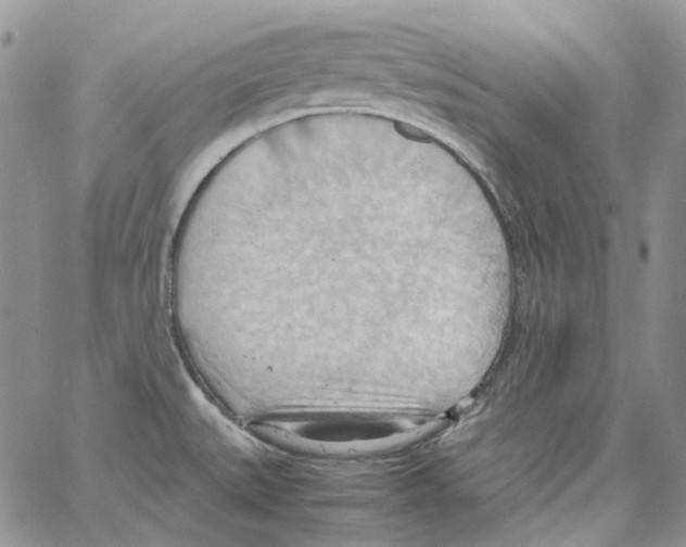 X0000064041527200602242308