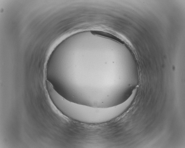 X0000064041528200602242308