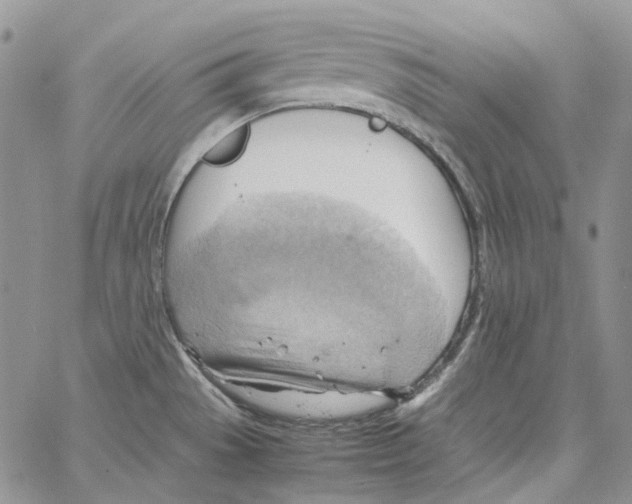 X0000064041529200602242308