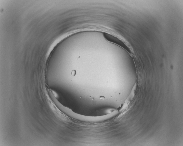 X0000064041530200602242308