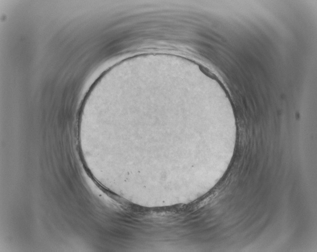 X0000064041531200602242308