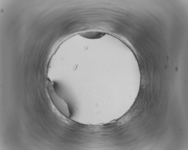 X0000064041532200602242308