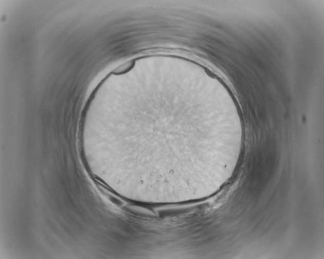 X0000064041533200602242308