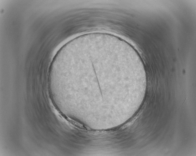 X0000064041534200602242308