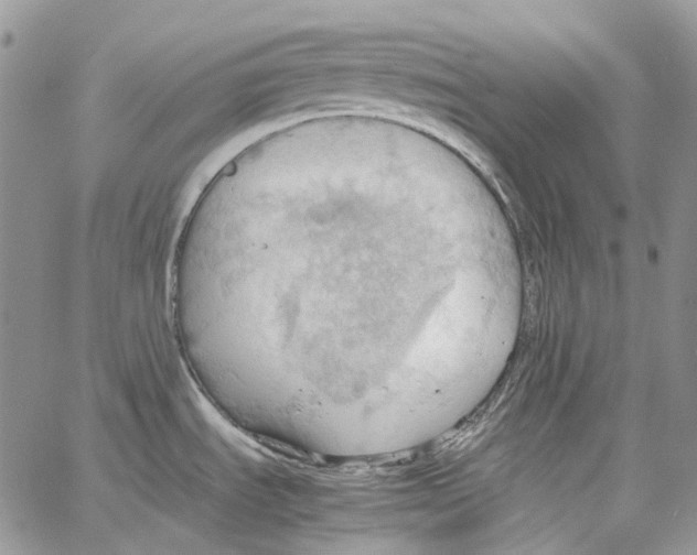 X0000064041535200602242308