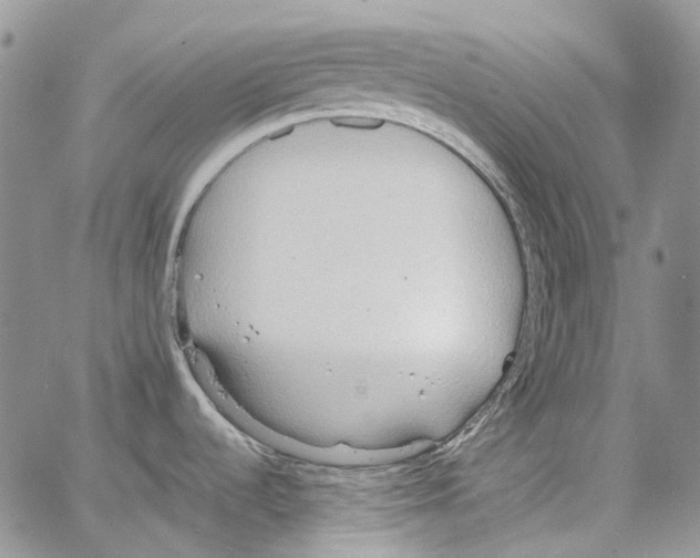 X0000064041536200602242308