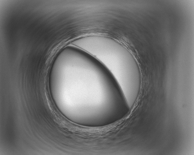 X0000064050001200601271010
