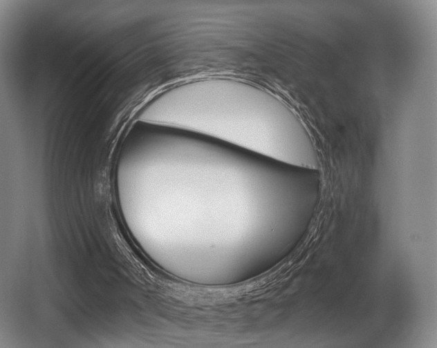 X0000064050002200601271010