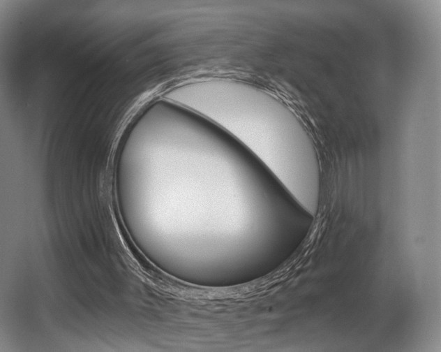 X0000064050003200601271010