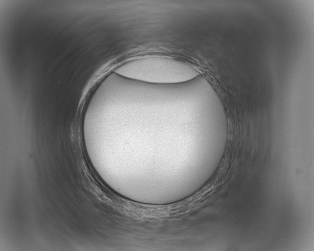X0000064050004200601271010