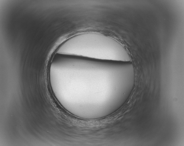 X0000064050006200601271010