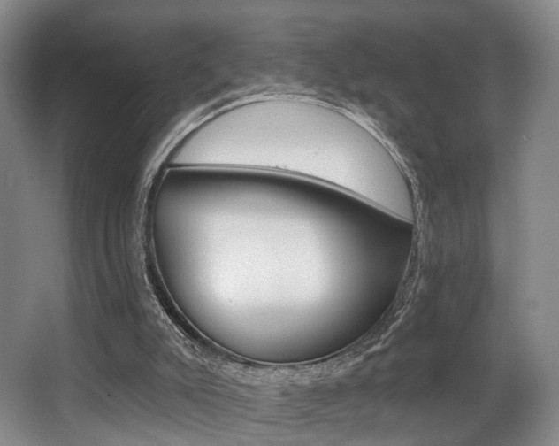 X0000064050007200601271010