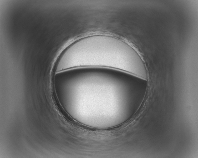 X0000064050008200601271010