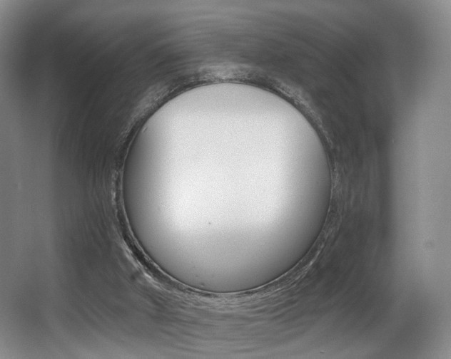 X0000064050010200601271010