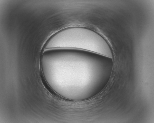 X0000064050011200601271010