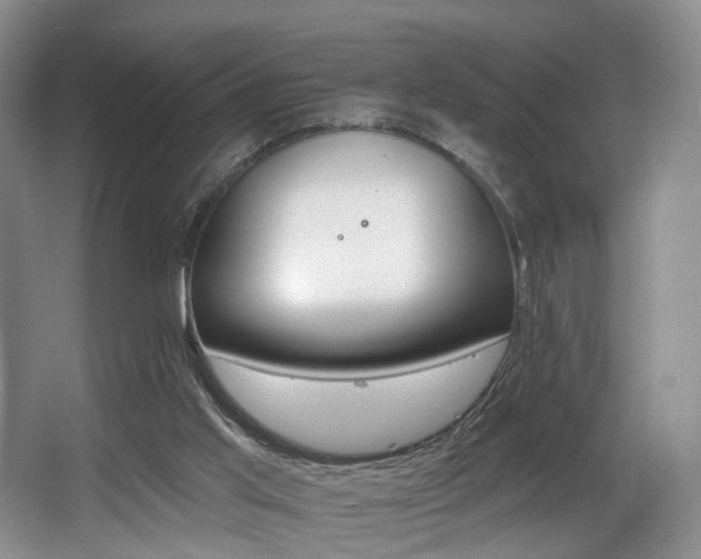 X0000064050013200601271010