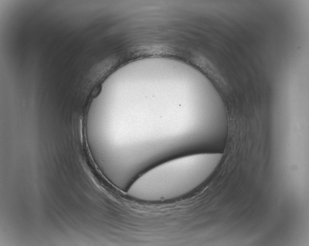 X0000064050014200601271010