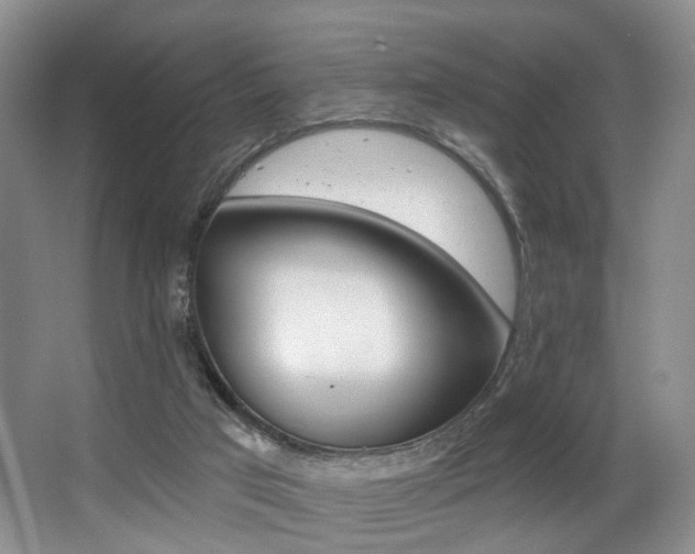 X0000064050017200601271010