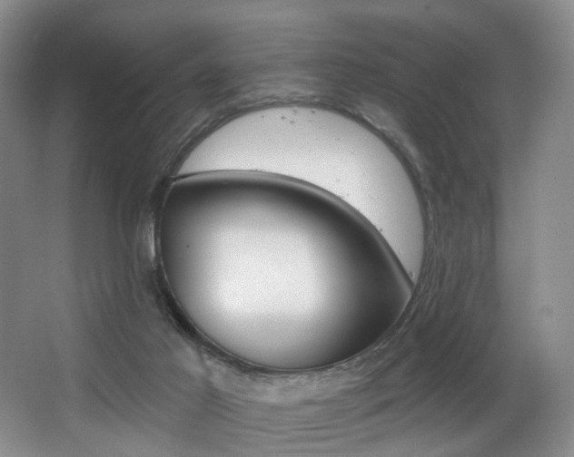 X0000064050021200601271010