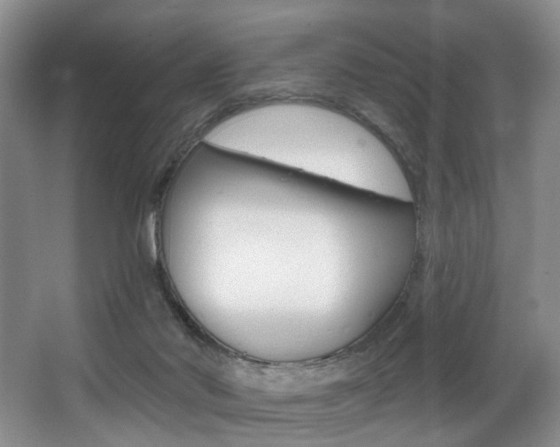 X0000064050022200601271010