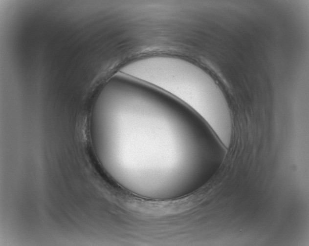 X0000064050023200601271010