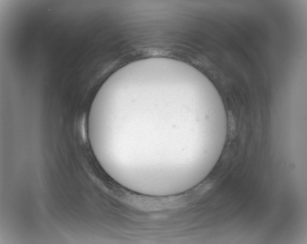 X0000064050028200601271010