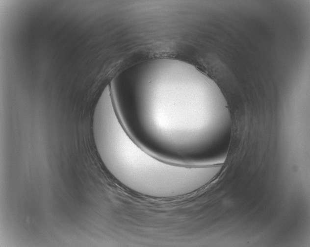 X0000064050041200601271010
