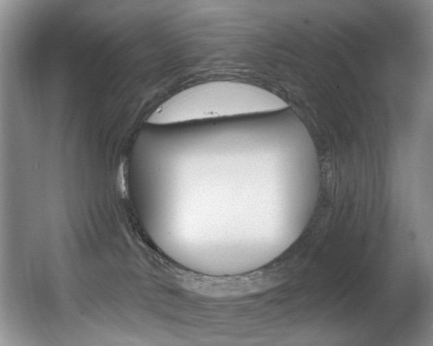 X0000064050042200601271010