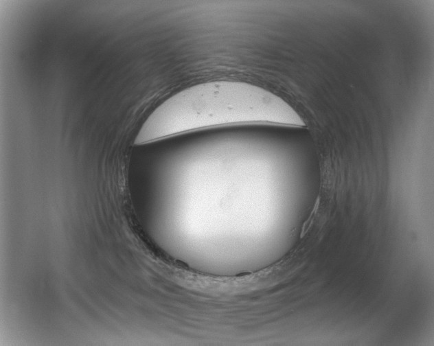 X0000064050043200601271010