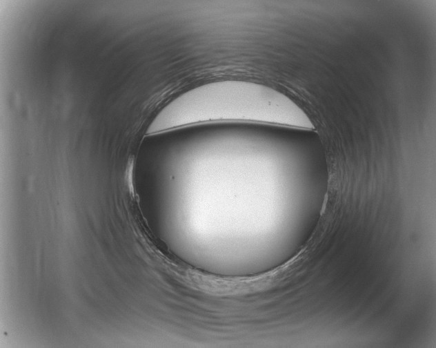 X0000064050047200601271010