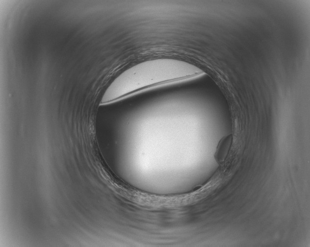 X0000064050048200601271010