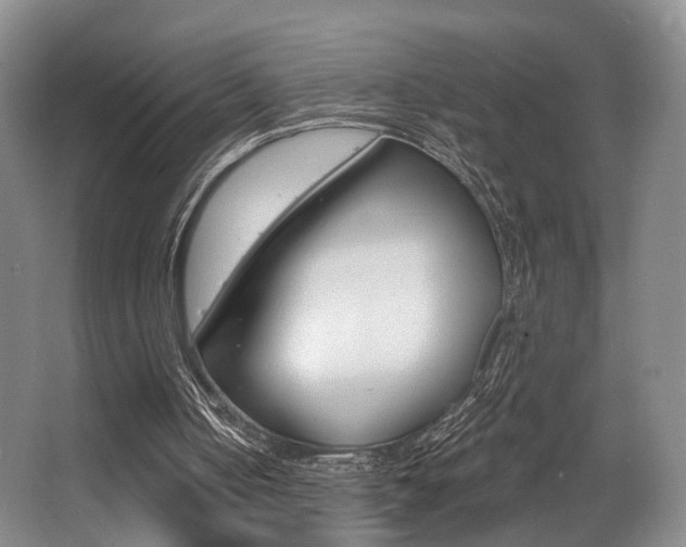 X0000064050050200601271009