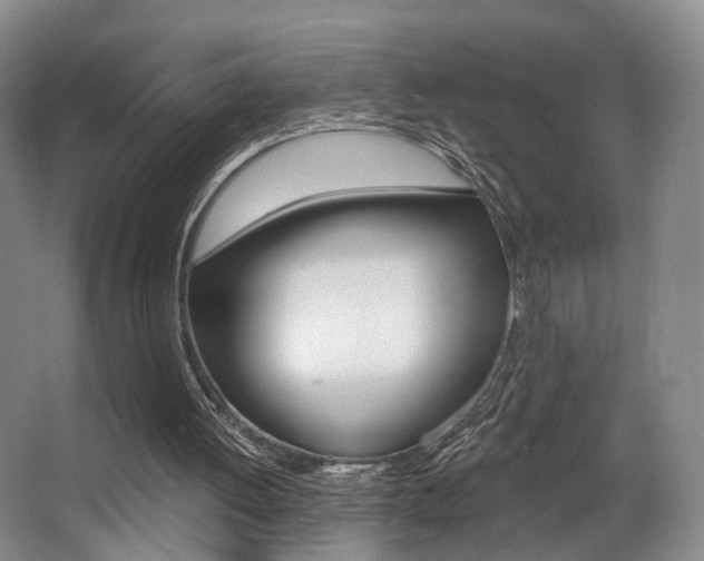 X0000064050052200601271009