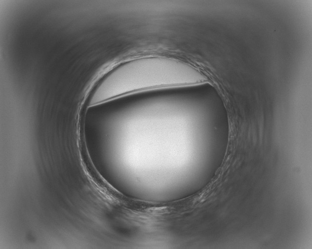 X0000064050054200601271009