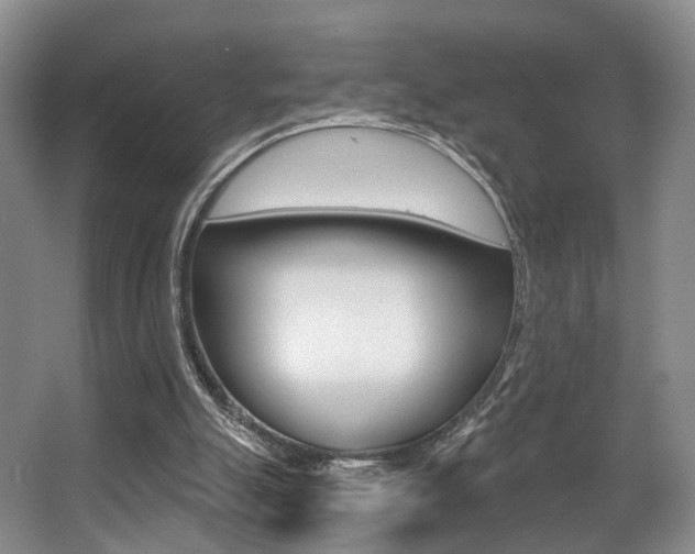 X0000064050055200601271009