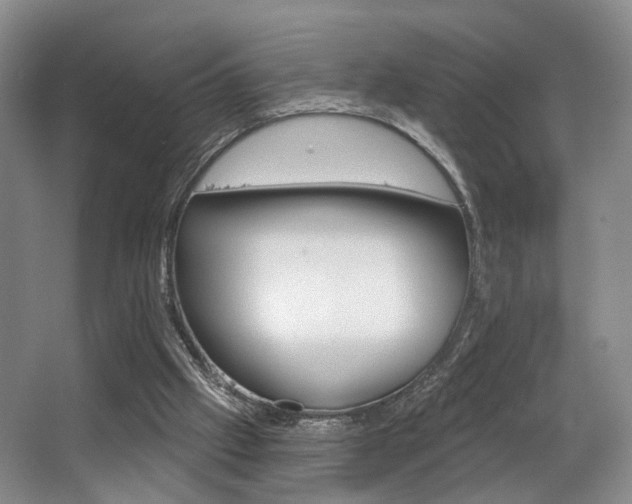 X0000064050057200601271009