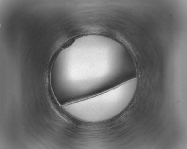X0000064050059200601271009