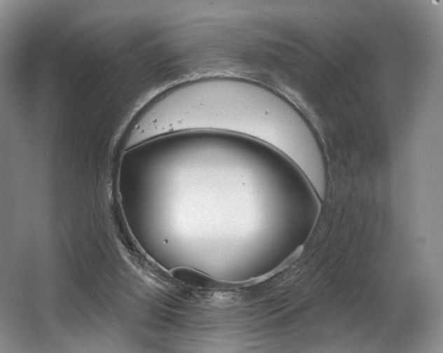 X0000064050060200601271009