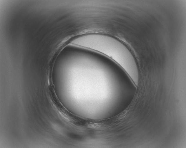 X0000064050062200601271009